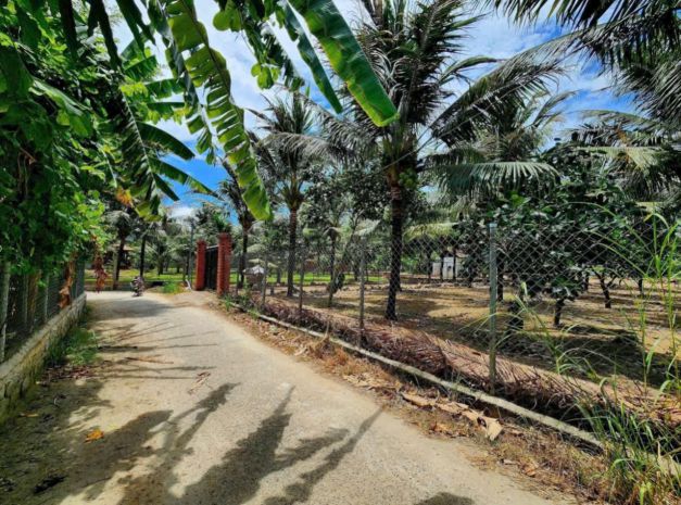 Bán nhanh lô đất đắc lộc - vĩnh phương - nha trang 7048663