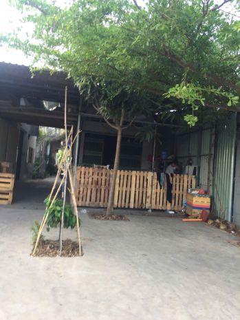 Bán gấp nhà riêng 500m²  tại an phước, long thành  sát 7053223