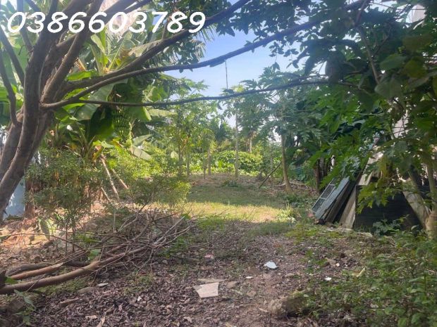 Bán nhà đất 252270m²  mặt tiền 9.8m  1 tầng  phố nguyễn 7054168