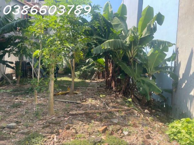 Bán nhà đất 252270m²  mặt tiền 9.8m  1 tầng  phố nguyễn 7054171