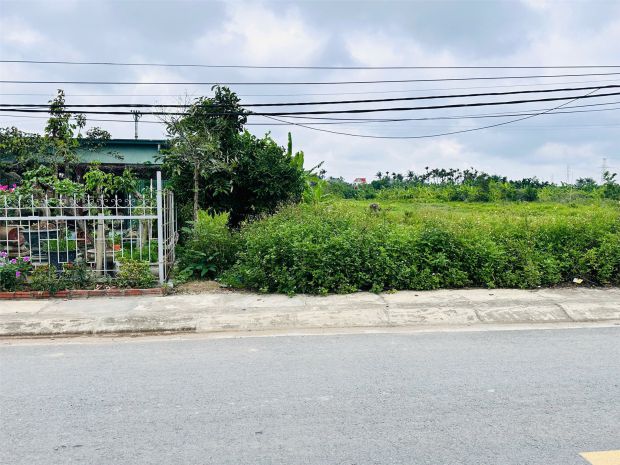 Lô 149.8m² giá hiếm 2.6x tỷ  mặt đường quyết tiến đồ sơn 7054745