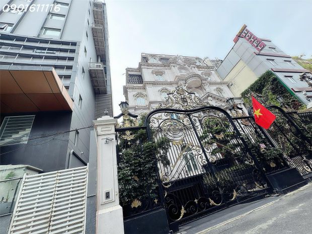 Bán siêu phẩm biệt thự đ. nam kỳ khởi nghĩa, quận 3 - vị 7056538