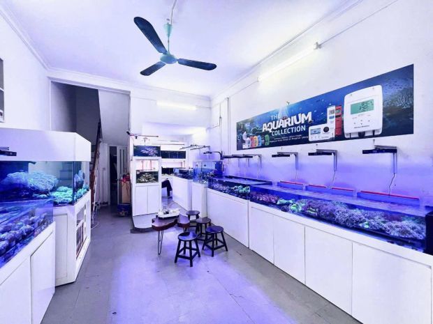 Trường chinh ngõ ô tô 40m² x 3,5 tầng, 15 triệu 7057042