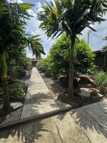 Ban nha măt tiên 36x28m gia 25 ty đương 7m pham văn 7057260