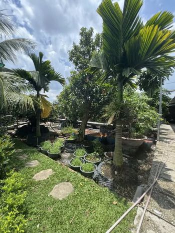 Ban nha măt tiên 36x28m gia 25 ty đương 7m pham văn 7057261