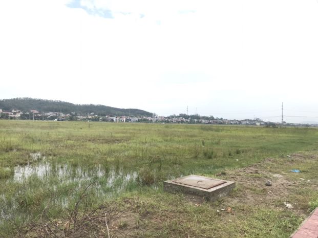 Chuyển nhượng khu công nghiệp đại an  hải dương, 40.000m2 7058528