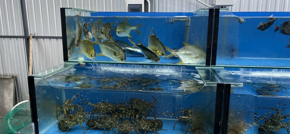 E cần sang nhượng gấp quán nhậu ở đường nguyễn huy chương, 7058861