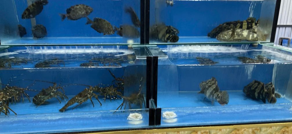 E cần sang nhượng gấp quán nhậu ở đường nguyễn huy chương, 7058863