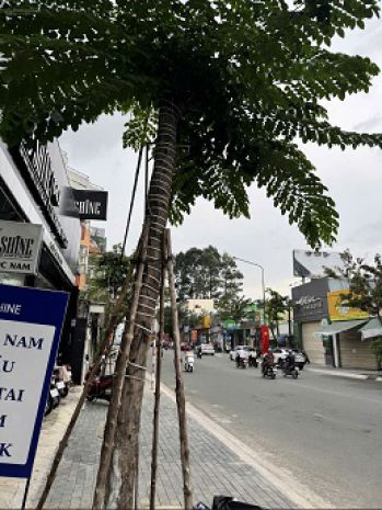 Bán nhà mặt tiền cmt8 vị trí trung tâm  tiện ích đầy đủ 7060283