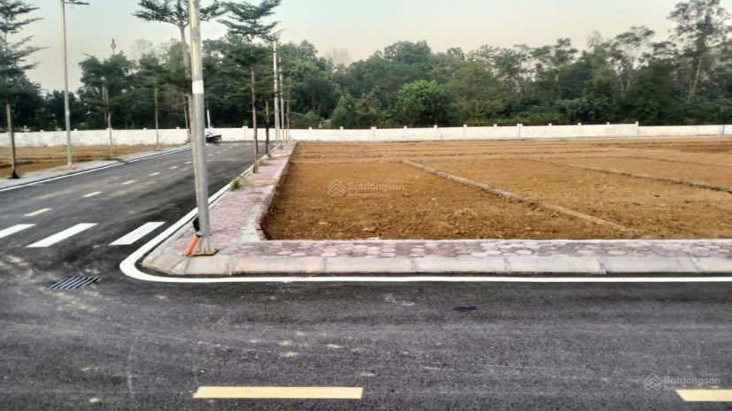 Chính chủ cần bán lô đất 100m² full thổ cư vị trí đẹp tại 7065903