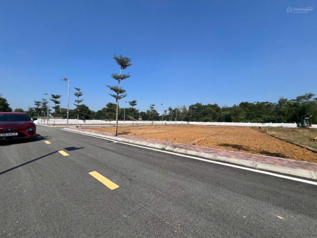 Chính chủ cần bán lô đất 100m² full thổ cư vị trí đẹp tại 7065905