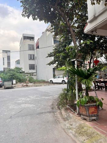 Bán đất tái định cư trâu quỳ  mặt đường 15m, có vỉa hè 7066210