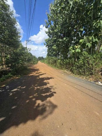 Bán đất 2 mặt tiền  xã lộc hưng, lộc ninh, bình phước 7066961