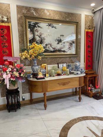 Quận 7 - biệt thự song lập - kdc city land - 220m2 - 5 tầng 7068669