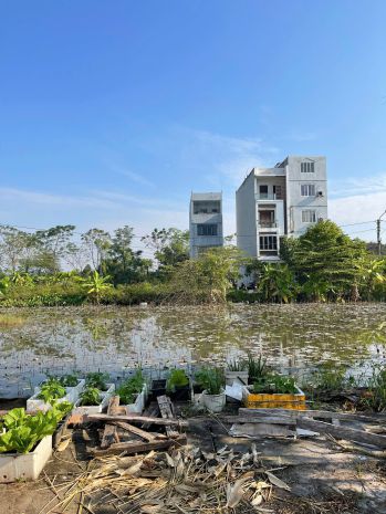 60m2 đất phân lô đồng ông đan phượng giá chỉ 13xtrm 7069904