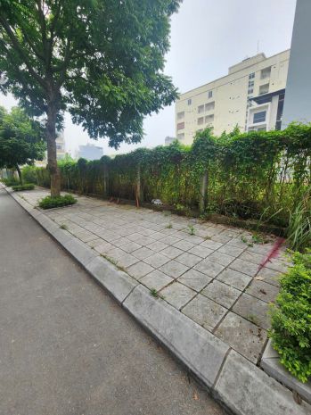 Đất phân lô tt trạm trôi, xã hoài đức chung đường bt lideco 7070647