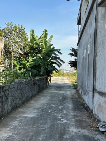 Lô 98m² giá 9xx triệu  rẻ nhất thù du minh tân  zalo 0567 7070851