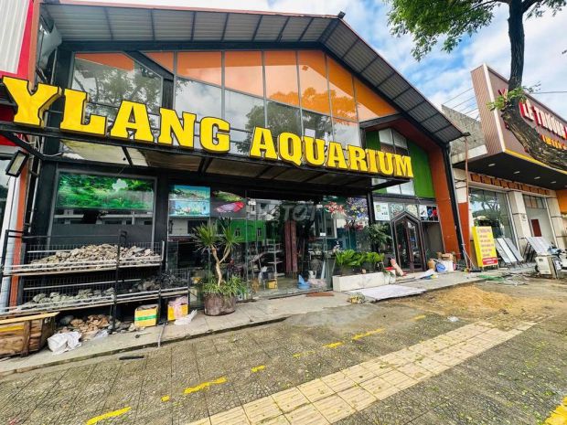 Cho thuê nhà mặt tiền 2 tầng đường võ chí công hoà xuân 7071741