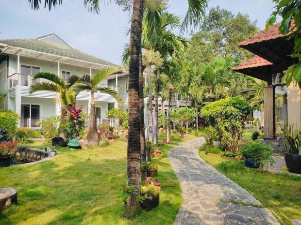 Ban nha măt tiên 50x120m gia 95 ty đương thanh niên 7073434