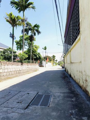 Lô đất giá hiếm sát đường ven biển minh đức  đồ sơn chỉ 7073980