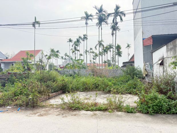 Đất ngõ 6m ô tô đỗ cửa  quý kim hợp đức giá chỉ 1,5xx tỷ 7074627