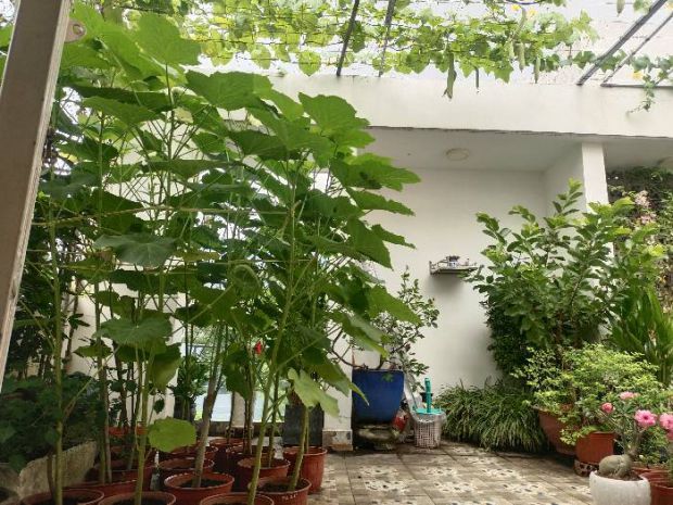 Nhà phường trường thọ 7075106