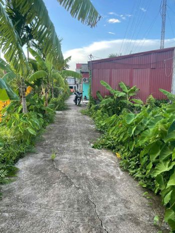 Giá hiếm 6xx triệu  lô 62.3m² tuyến 2 bình minh, nam đồ 7076630