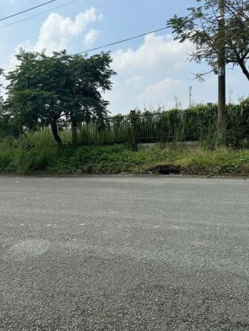 Bán đất 70x117m giá 39 tỷ cum công nghiệp nhị xuân 7079117