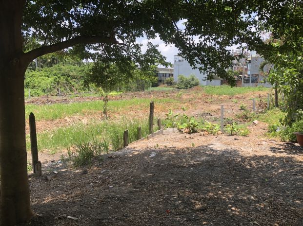 Cơ hội đầu tư cực hiếm 1736m2  đất- mt võ văn bích củ chi 7079743