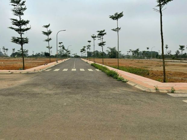 Lô đất hiếm trung tâm tam nông, phú thọ  pháp lý rõ ràng 7082366