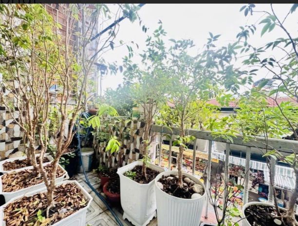 Bán nhà đẹp, mặt tiền chợ đường hoàng minh đạo p5, q8 - 7083120