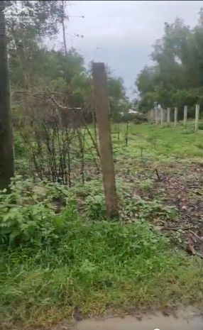 Chính chủ bán 1167,3m2 đất tại xã nghĩa thuận, huyện tư 7084143