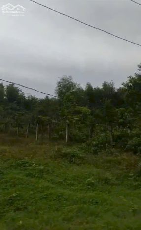 Chính chủ bán 1167,3m2 đất tại xã nghĩa thuận, huyện tư 7084144