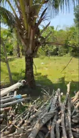 Chính chủ bán lô đất giá chỉ 600 triệu  ấp bến tràm, cửa 7084599