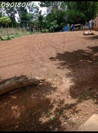 Bán đất 250m2 100m2đất ở 580tr ở thành phố pleiku- gia lai 7085008