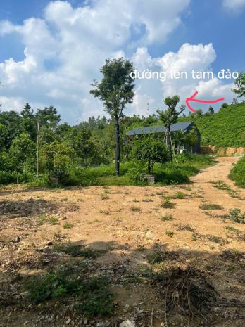 Hàng hiếm - đất chính chủ - mặt tiền vị trí xã hồ sơn, 7085870