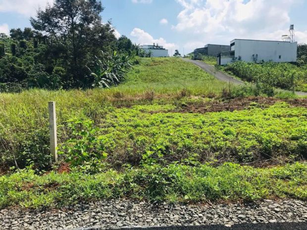 Đất đẹp  giá tốt - cần bán nhanh đất đẹp sổ hồng full thổ 7085902