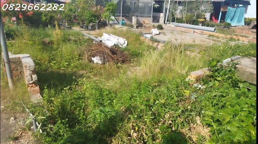 Bán đất thổ cư đường làng hoa, sa đéc. 196m2, shr, giá 3.2 7086964