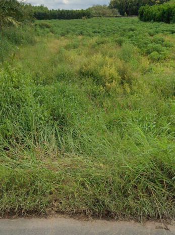 Bán đất 2318m2 full skc đóng tiền 1 lần- 7087349