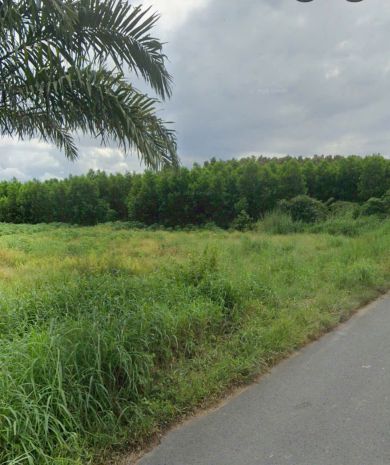 Bán đất 2318m2 full skc đóng tiền 1 lần- 7087351