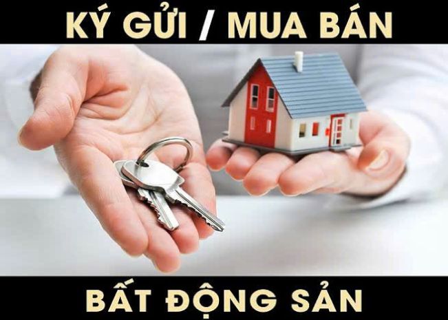Nhận môi giới
đất nền  nhà dân
tại

ứng hòa

liên 7087381