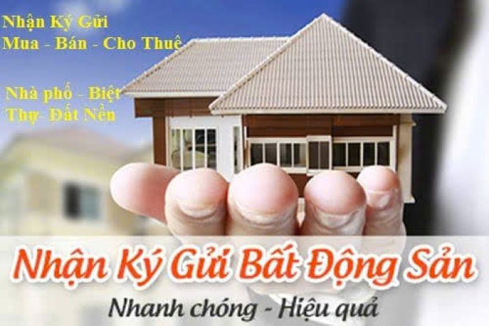 Nhận môi giới
đất nền  nhà dân
tại

ứng hòa

liên 7087385