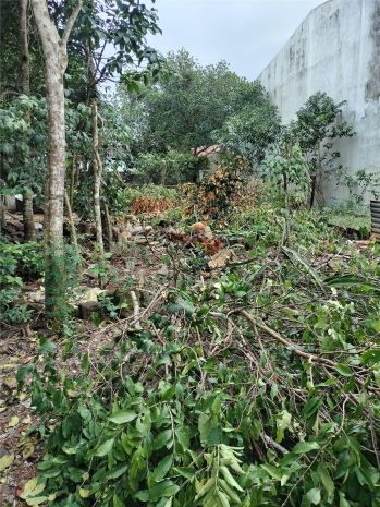 Đất đẹp  kiệt ô tô hòa thọ tây  111,5m²  giá chỉ 2,68 7087859