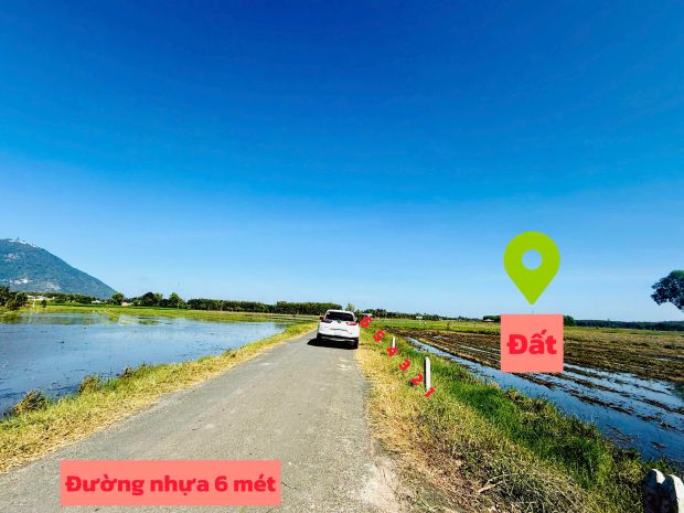 Mặt tiền đường nhựa view trực diện núi bà đen full thổ cư 7089317