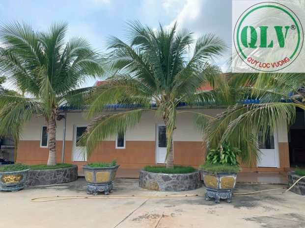 Bán xưởng sản xuất nông sản 11.879m2 hàm tân bình thuận 7089614