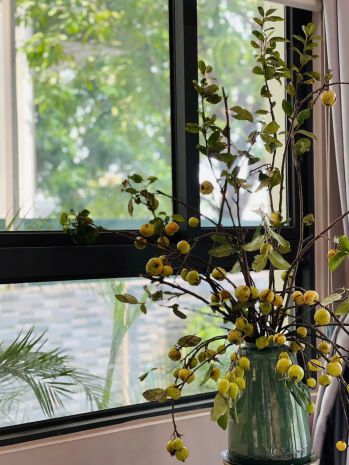 Biệt thự siêu đẹp - cho thuê biệt thự song lập vinhomes 7091080