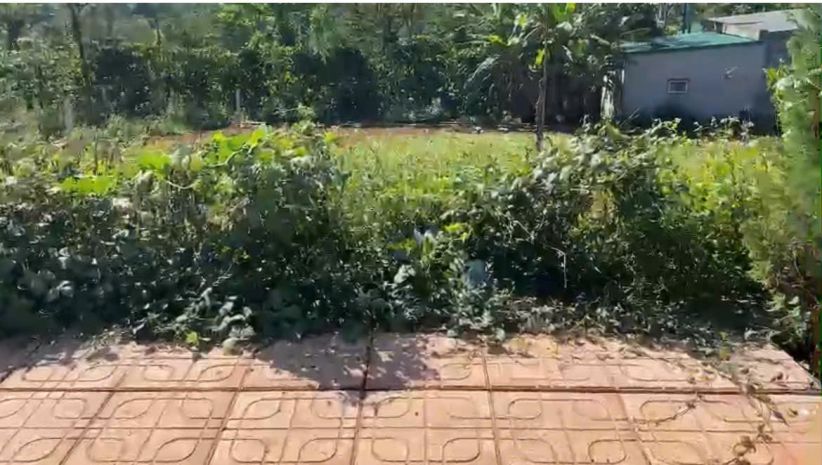 Bán lô đất 128m²  ngang 5m, nở hậu 5.3m  thuộc  đường tứ 7091287