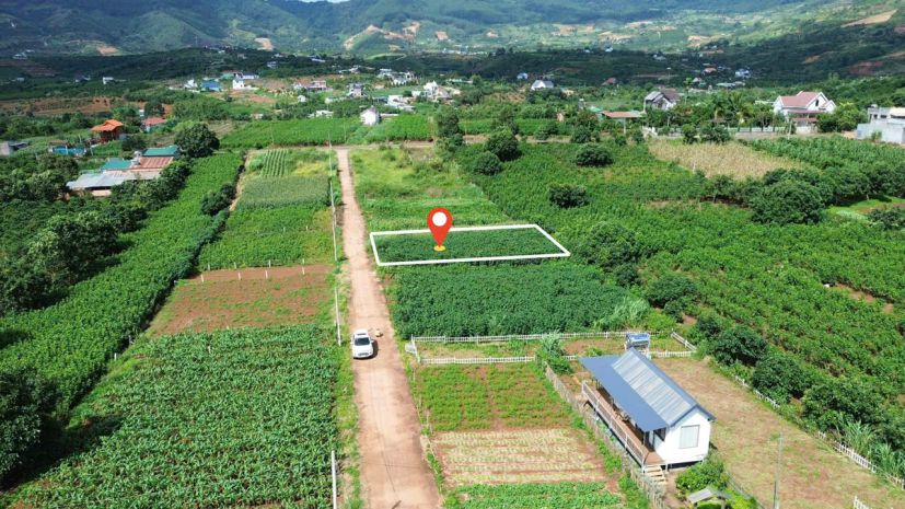 Nam ban-lâm hà dt 5*26m sẵn thổ cư sát địa phận đà lạt 12km 7091726