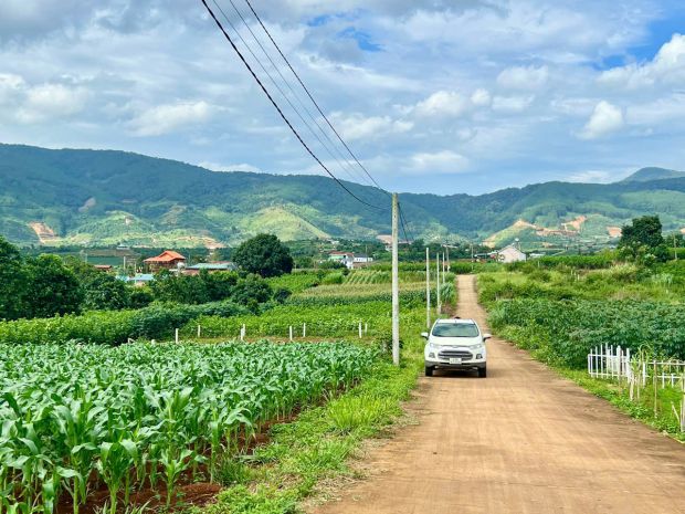 Nam ban-lâm hà dt 5*26m sẵn thổ cư sát địa phận đà lạt 12km 7091727