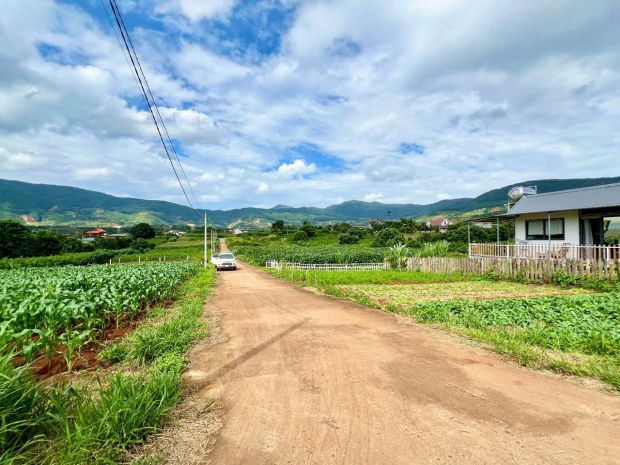 Nam ban-lâm hà dt 5*26m sẵn thổ cư sát địa phận đà lạt 12km 7091728